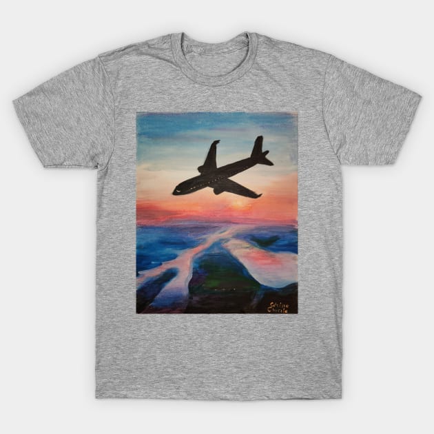 A flight above Elbe T-Shirt by CORinAZONe